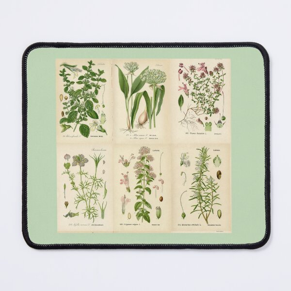 Item preview, Apothecary Herbs Vintage Botanical Plants Cottagecore designed and sold by funnytshirtemp.