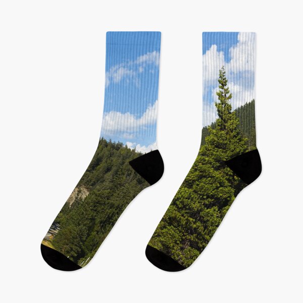 Item preview, View of the forest in Northern California designed and sold by OrcaNature.