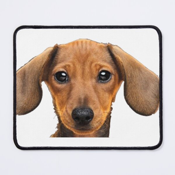 Item preview, Dachshund Dog Sausage Dog designed and sold by joyhopefreeme.