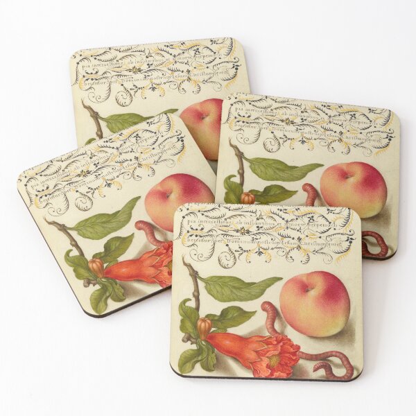 Item preview, Naturalist Manuscript Fruits, Insects, and Calligraphy Illumination by Joris Hoefnagel  designed and sold by Naturalist Prints.
