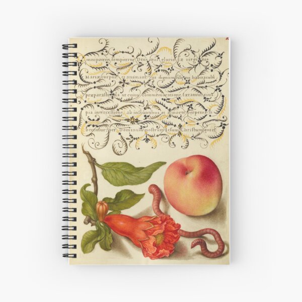 Item preview, Naturalist Manuscript Fruits, Insects, and Calligraphy Illumination by Joris Hoefnagel  designed and sold by Naturalist Prints.