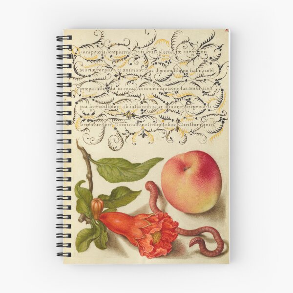 Item preview, Naturalist Manuscript Fruits, Insects, and Calligraphy Illumination by Joris Hoefnagel  designed and sold by Naturalist Prints.