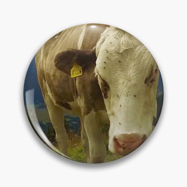 Hörnle cow Pin
