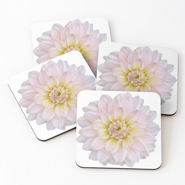 Item preview, White Dahlia Flower Still Life Floral Photography designed and sold by CottoVerdi.