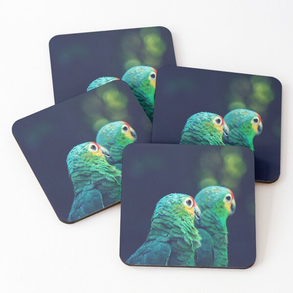 Item preview, parrot photo with high resolution quality designed and sold by Allyouneed-2.