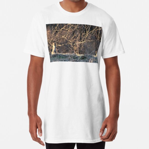 Bobcat Sunrise Long T-Shirt