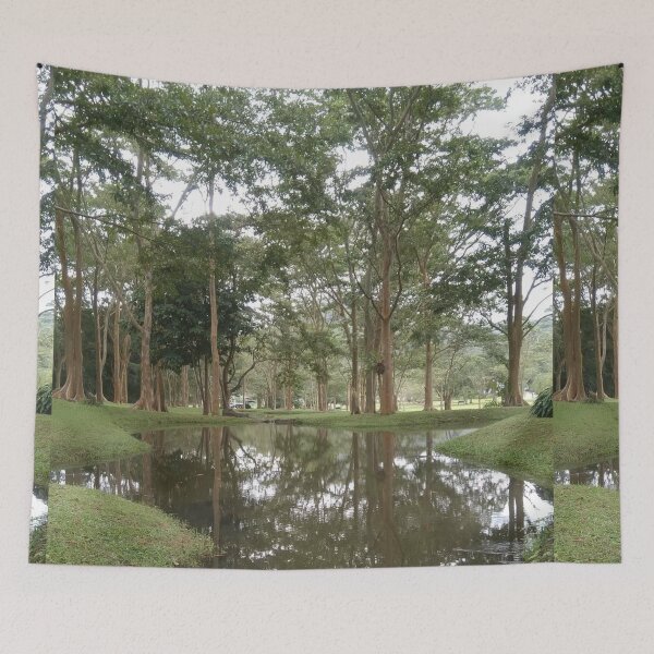 Item preview, Trees reflecting on water  (Photography)  designed and sold by Paint84.