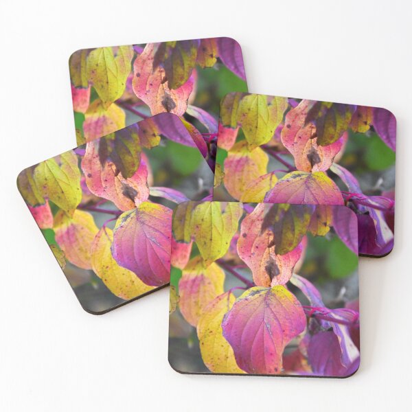 Item preview, Autumn leaves 2 | Nature photography designed and sold by Mii-pics.