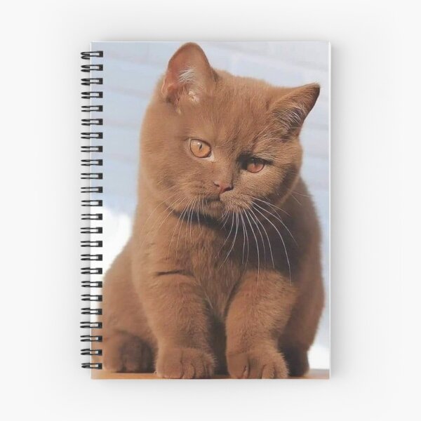Item preview, Brown cat :) designed and sold by nastyelves.
