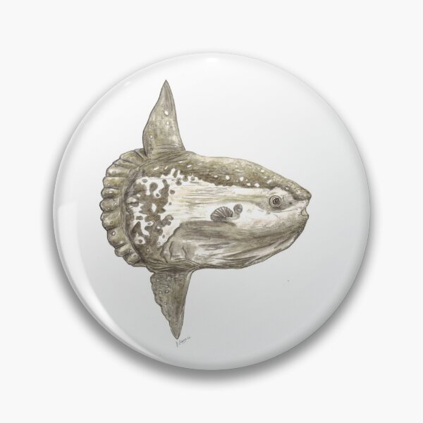 Item preview, Ocean sunfish (Mola mola) designed and sold by chloeyzoard.