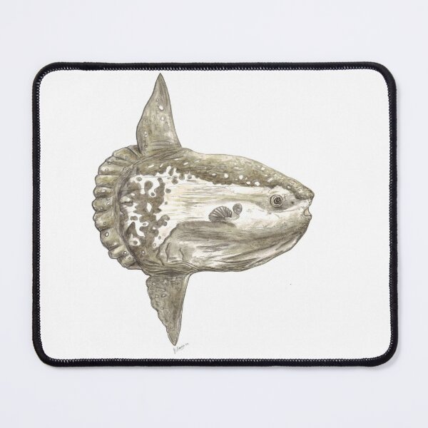 Item preview, Ocean sunfish (Mola mola) designed and sold by chloeyzoard.