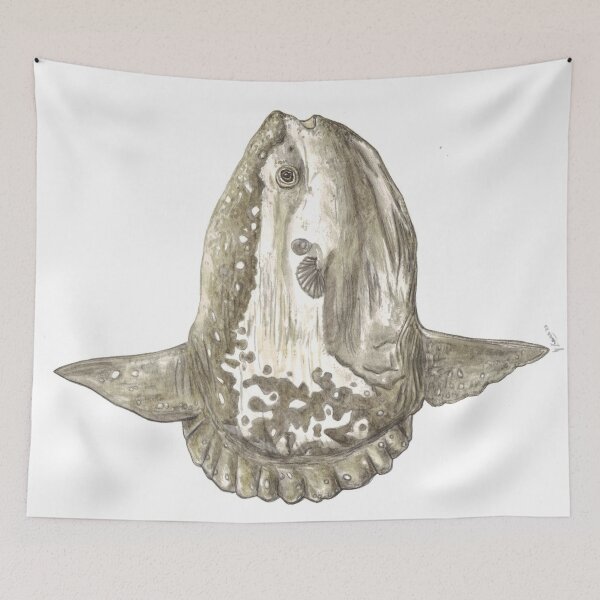 Item preview, Ocean sunfish (Mola mola) designed and sold by chloeyzoard.