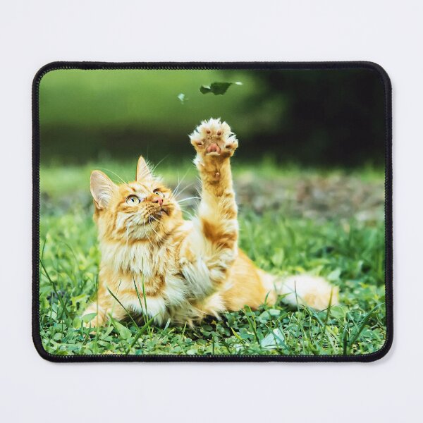 Item preview, Friendly cat in the garden says hey to a leaf! designed and sold by urban-color.