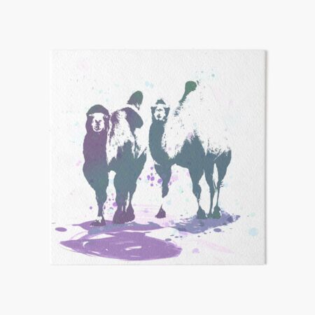 Camels Coming Your Way Art Board Print