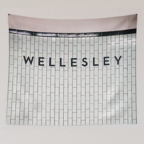 Item preview, Toronto Wellesley Subway Station Sign designed and sold by stationtoronto.