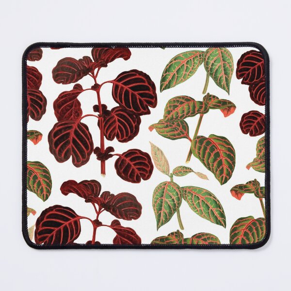 Item preview, Urban jungle iresine house plant pattern cottagecore aesthetic designed and sold by PG Illustration.