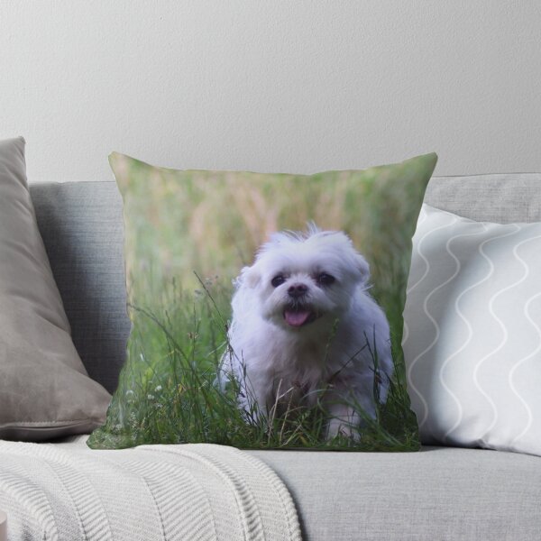 Item preview, Maltese on a hiking adventure designed and sold by MvMeer.