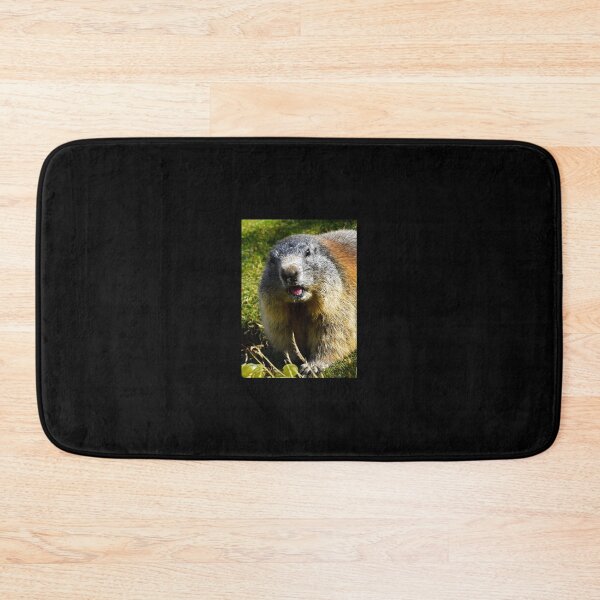 Item preview, Amazed marmot | Wildlife photography designed and sold by Mii-pics.