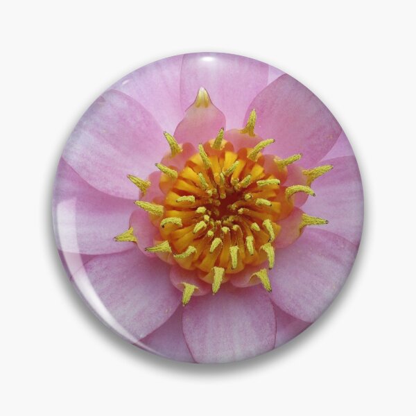 Item preview, Pink water lily designed and sold by Christine Mignon.