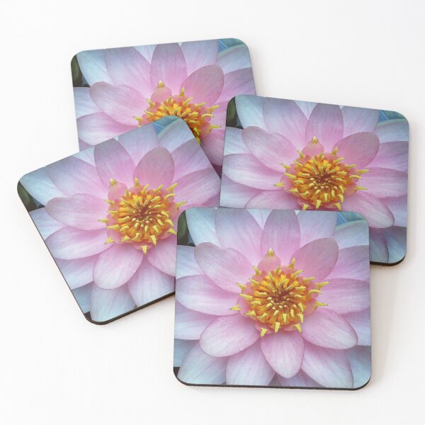 Item preview, Pink water lily designed and sold by Christine Mignon.