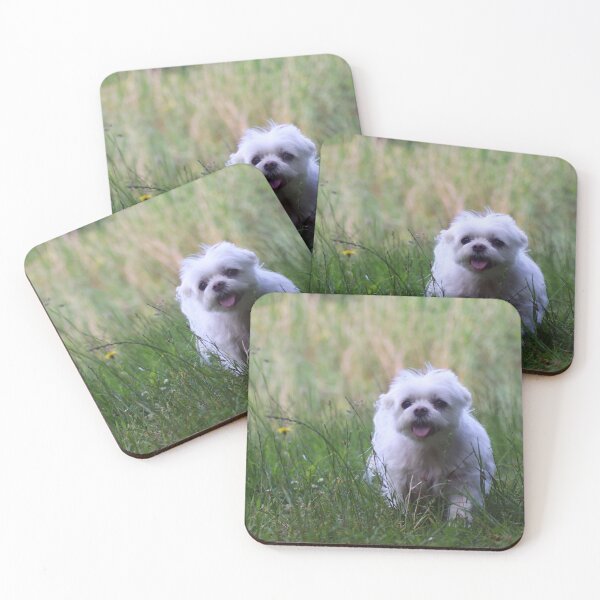 Item preview, Maltese on a hiking adventure designed and sold by MvMeer.