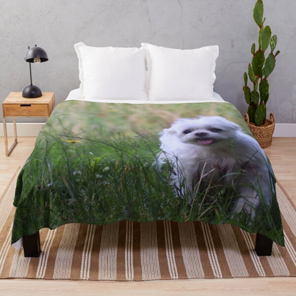 Item preview, Maltese on a hiking adventure designed and sold by MvMeer.