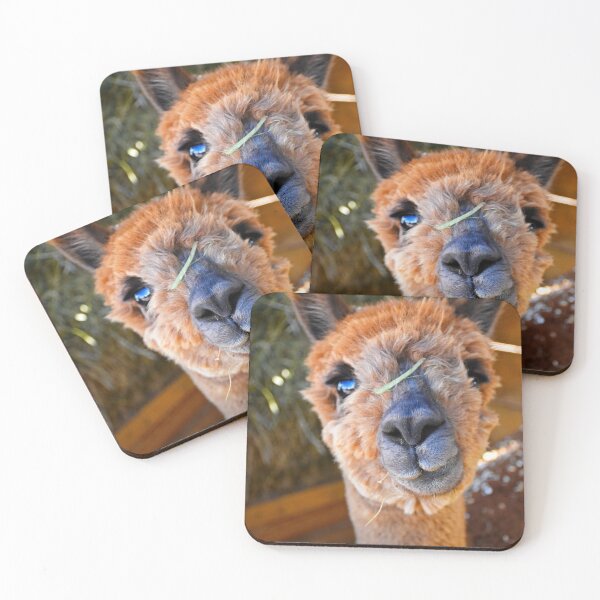 Item preview, Alpaca | Wildlife photography designed and sold by Mii-pics.