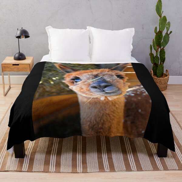 Item preview, Alpaca | Wildlife photography designed and sold by Mii-pics.