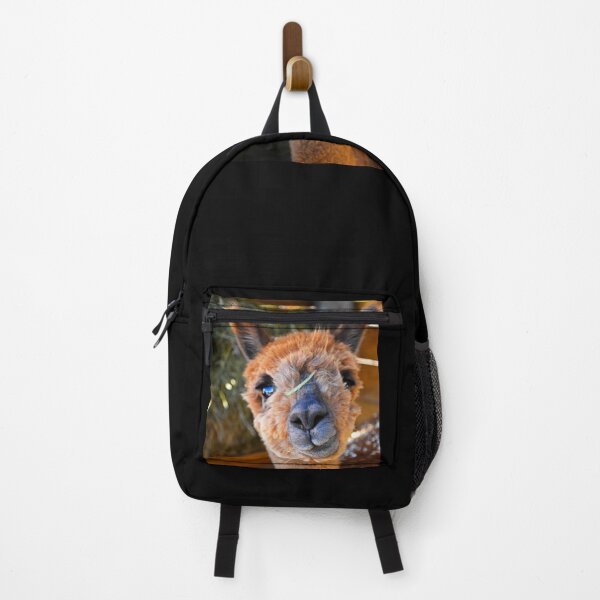 Item preview, Alpaca | Wildlife photography designed and sold by Mii-pics.