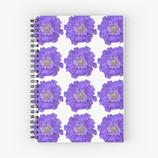 Item preview, Blue Scabious Flower Still Life Floral Photography designed and sold by CottoVerdi.