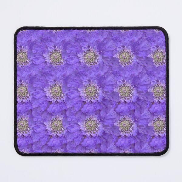 Item preview, Blue Scabious Flower Still Life Floral Photography designed and sold by CottoVerdi.