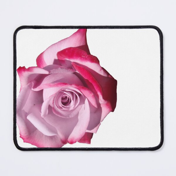Item preview, Rose of Pinks designed and sold by KazM.