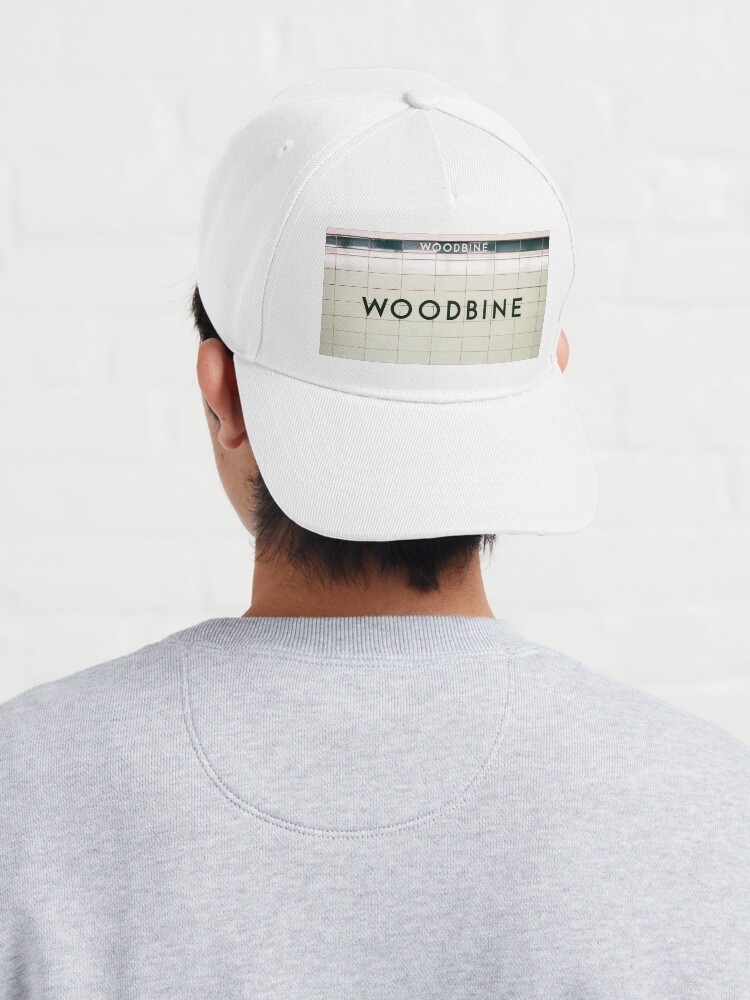 Alternate view of Toronto Subway Station Sign Woodbine Station Cap