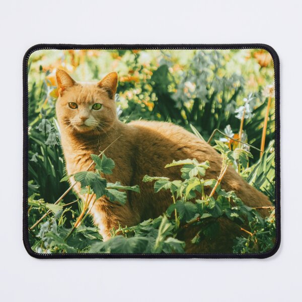 Item preview, Colorful cat in the garden hiding says hey to you! designed and sold by urban-color.