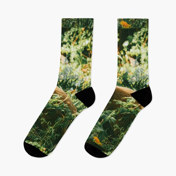 Item preview, Colorful cat in the garden hiding says hey to you! designed and sold by urban-color.