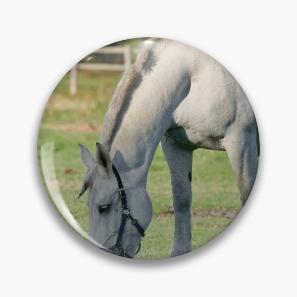 Item preview, Horse Feeding designed and sold by Michael Cummings.