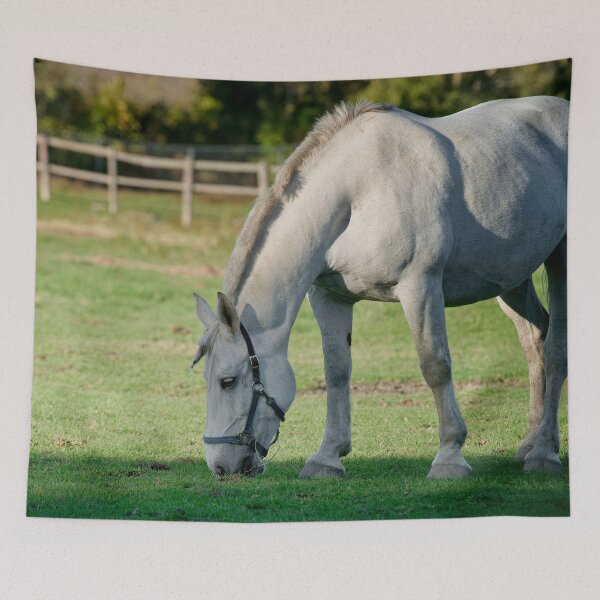 Item preview, Horse Feeding designed and sold by Michael Cummings.