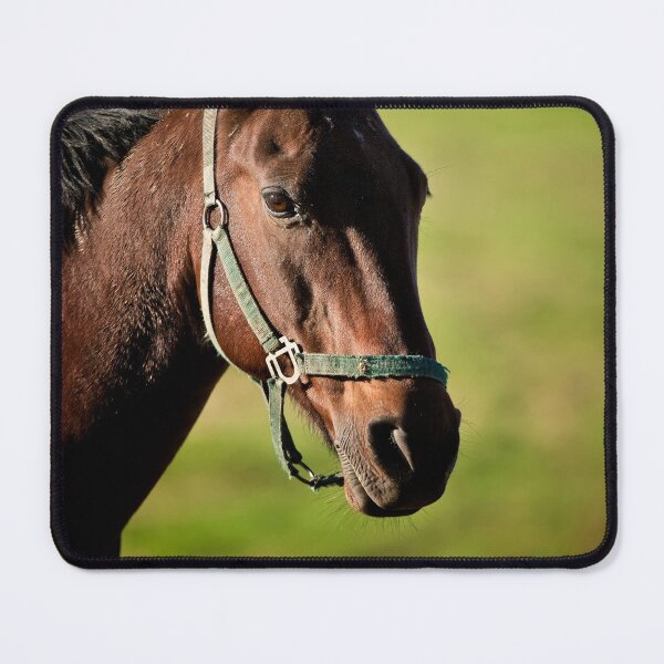 Item preview, Horse designed and sold by Michael Cummings.