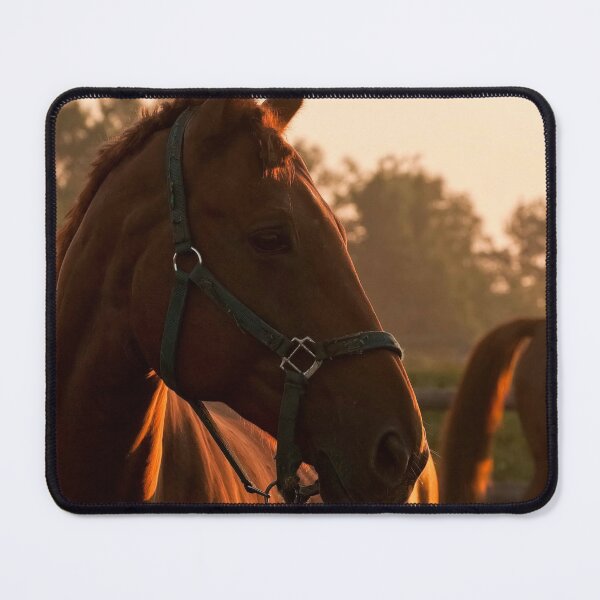 Item preview, Morning Horse designed and sold by Michael Cummings.