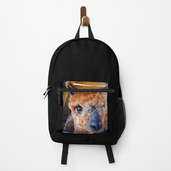 Item preview, Alpaca 2 | Wildlife photography designed and sold by Mii-pics.