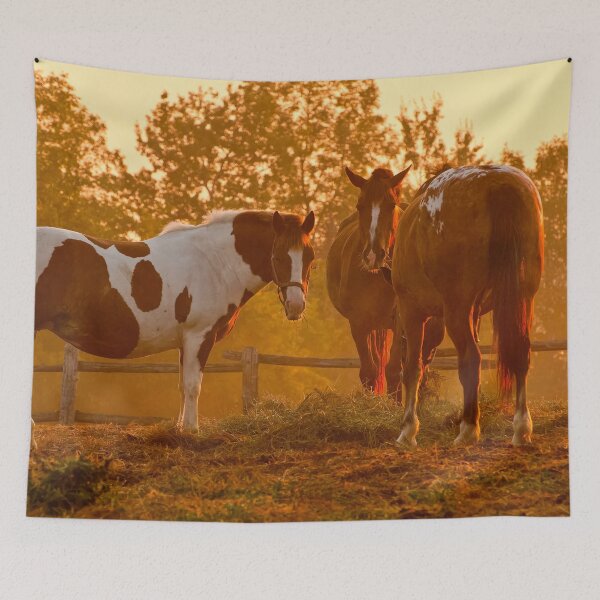Item preview, Golden Hour designed and sold by Michael Cummings.