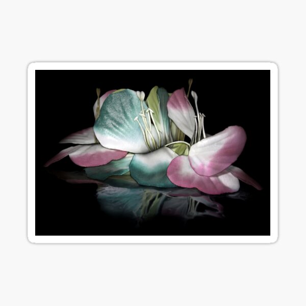 Beauty in the Darkness Sticker