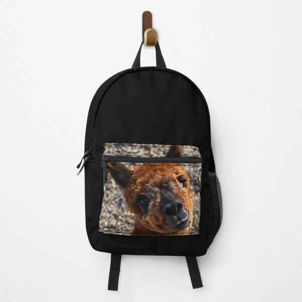 Item preview, Alpaca 3 | Wildlife photography designed and sold by Mii-pics.