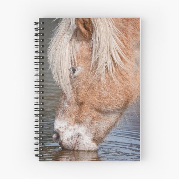 Item preview, Horse Drinking Water designed and sold by Michael Cummings.