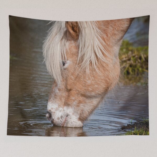 Item preview, Horse Drinking Water designed and sold by Michael Cummings.