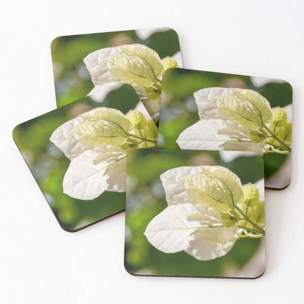 Item preview, white bougainvillea flower . designed and sold by rajeshbac.