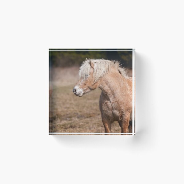 Item preview, Shaggy Horses designed and sold by Michael Cummings.