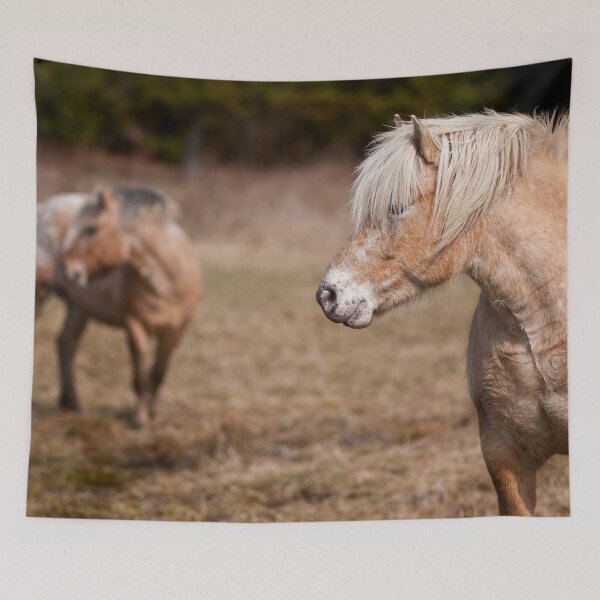Item preview, Shaggy Horses designed and sold by Michael Cummings.