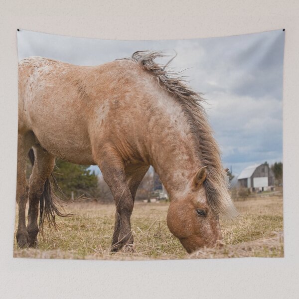 Item preview, Horse Eating Hay designed and sold by Michael Cummings.