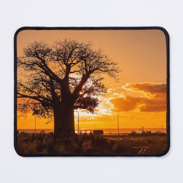 Item preview, Silhouette of baobab (Adansonia digitata) tree designed and sold by rajeshbac.